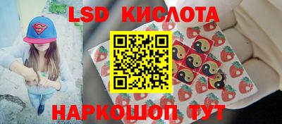 ALPHA PVP Краснознаменск