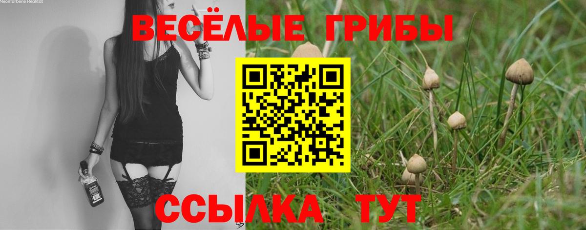 Псилоцибиновые грибы ЛСД Ипатово